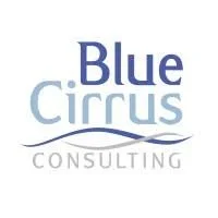 Blue Cirrus Consulting